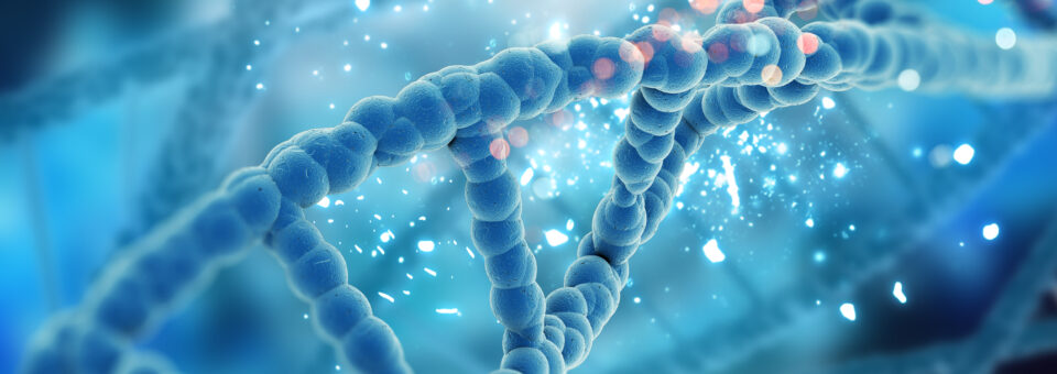 DNA variazione patologie ereditarie del cavo orale e predisposizione genetica
